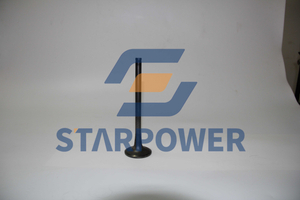 6162-43-4110 КЛАПАН КОМАТСУ,ВПУСКНОЙ