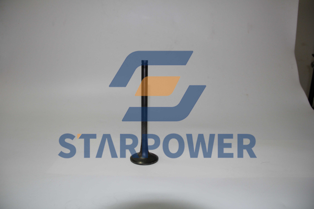 6162-43-4110 КЛАПАН КОМАТСУ,ВПУСКНОЙ