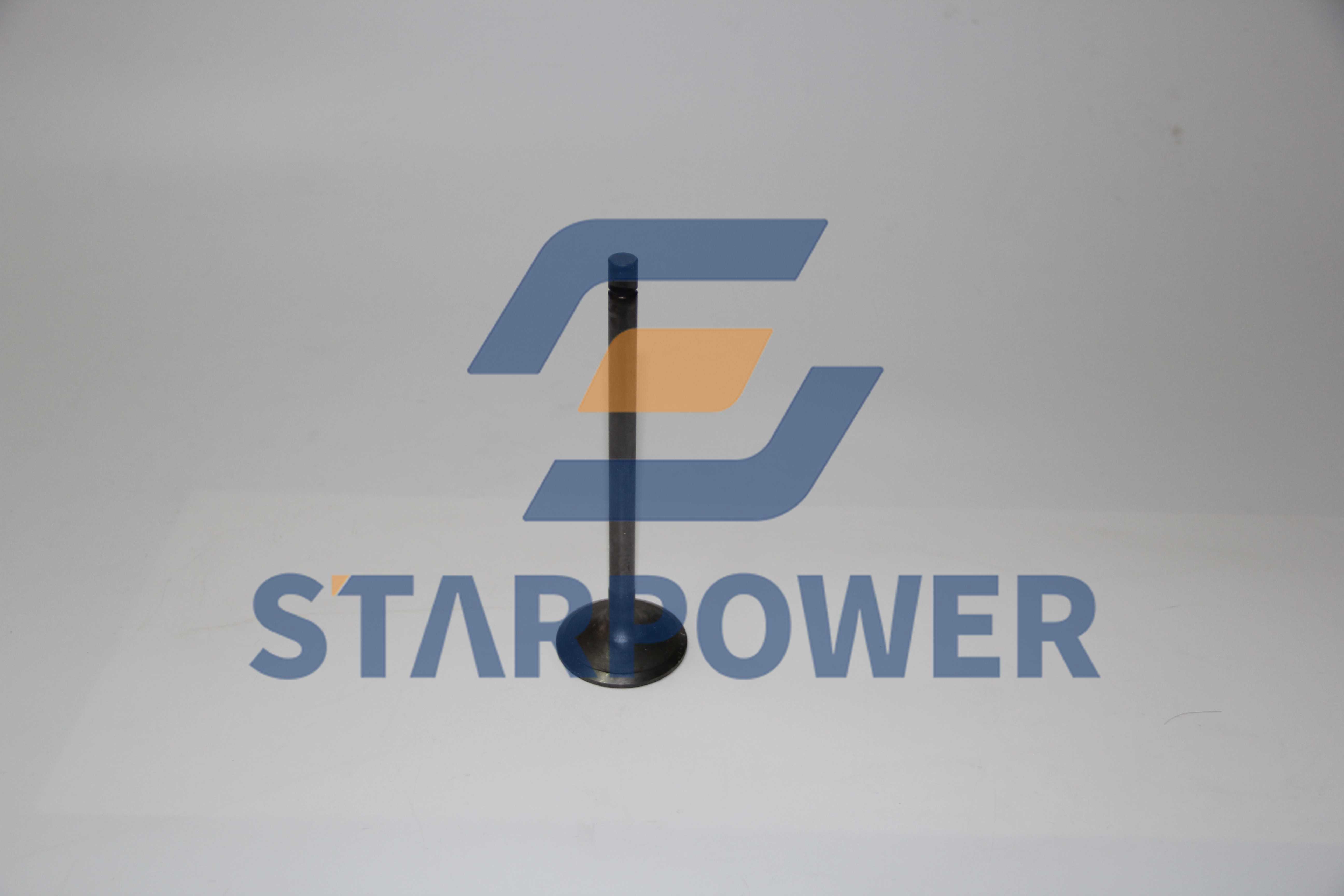 6217-41-4110 КЛАПАН KOMATSU, ВПУСКНОЙ