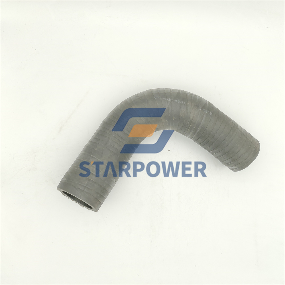 421-62-45310 ШЛАНГ